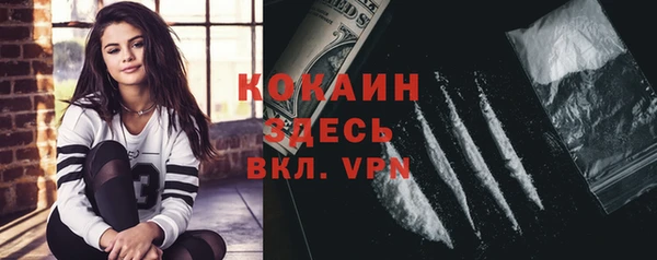 ALPHA PVP Коряжма