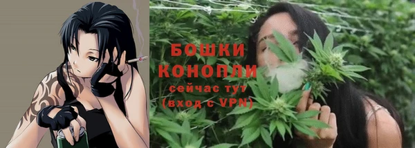 ALPHA PVP Коряжма