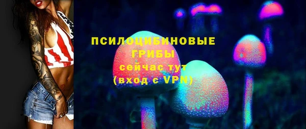 ALPHA PVP Коряжма