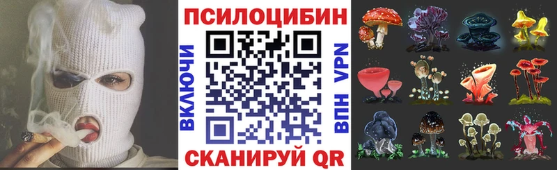 ОМГ ОМГ   Шлиссельбург  Псилоцибиновые грибы GOLDEN TEACHER 